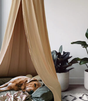 Stylish Soft Cozy Dog Tent  Dog Teepee