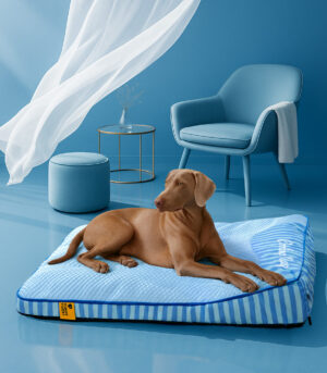 Extra Large Cooling Washable Rectangle Orthopedic Dog Bed - Cooling Nap