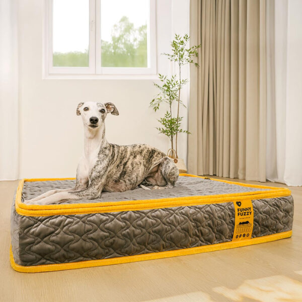 Hooman Innerspring Coils Orthopedic Human Dog Bed - Everdream - Image 12