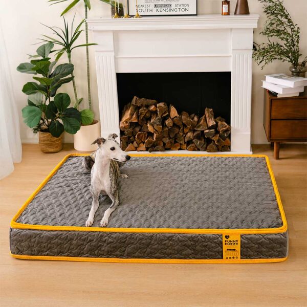 Hooman Innerspring Coils Orthopedic Human Dog Bed - Everdream - Image 15