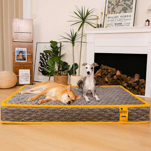 Hooman Innerspring Coils Orthopedic Human Dog Bed - Everdream - Image 2