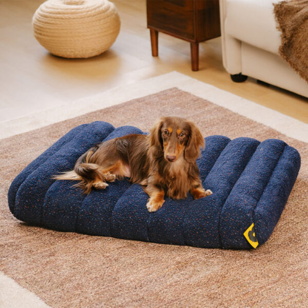 Large Washable Creamy Cozy Flat Dog Beds - Cheesecake - Image 5