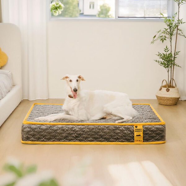 Hooman Innerspring Coils Orthopedic Human Dog Bed - Everdream - Image 6