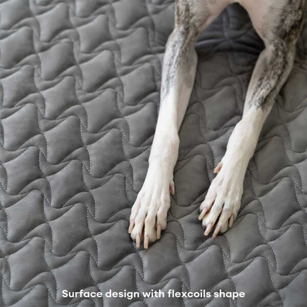 Hooman Innerspring Coils Orthopedic Human Dog Bed - Everdream - Image 11
