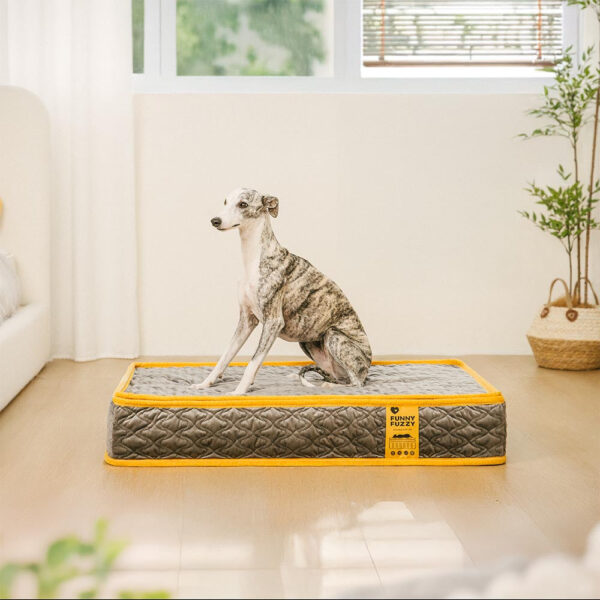 Hooman Innerspring Coils Orthopedic Human Dog Bed - Everdream - Image 3