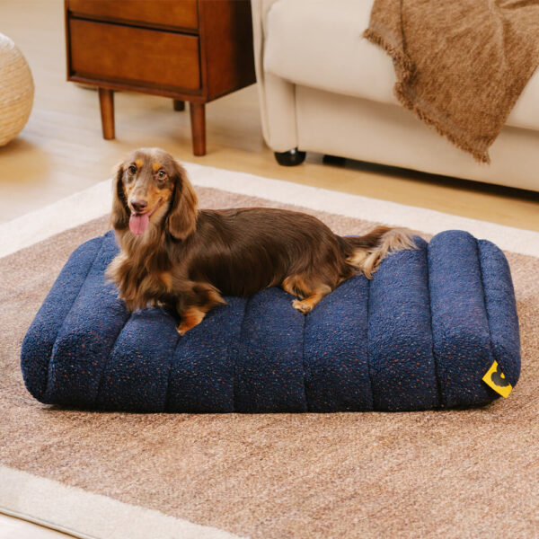 Large Washable Creamy Cozy Flat Dog Beds - Cheesecake - Image 9