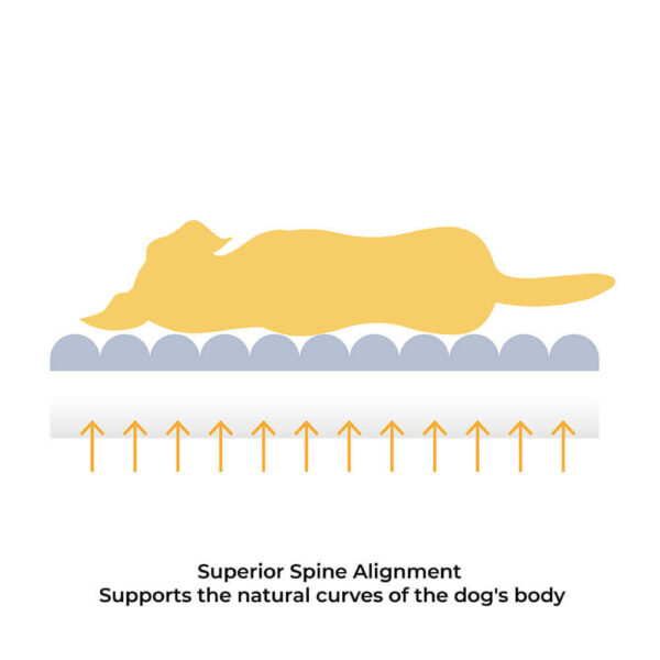 Large Washable Creamy Cozy Flat Dog Beds - Cheesecake - Image 4
