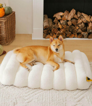 Large Washable Creamy Cozy Flat Dog Beds - Cheesecake