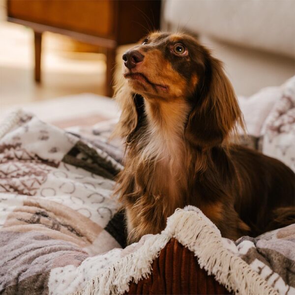 Washable Anti-Scratch Boho Tassel Calming Round Dog Bed - Hunter Night - Image 8