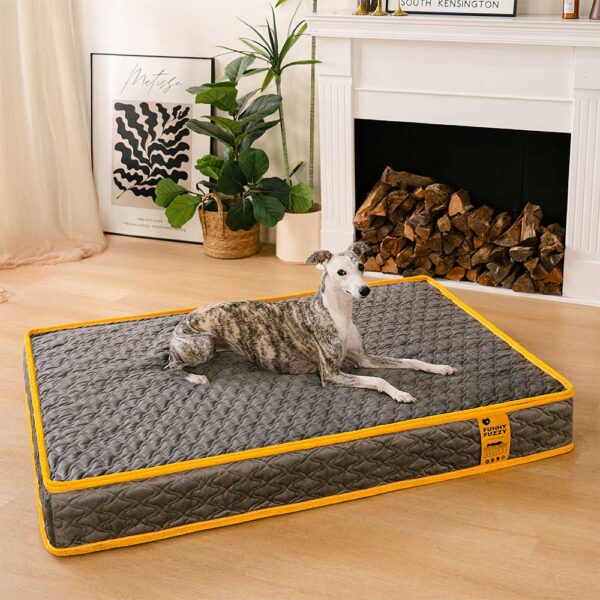 Hooman Innerspring Coils Orthopedic Human Dog Bed - Everdream - Image 5