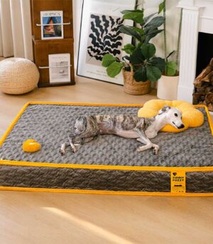 Hooman Innerspring Coils Orthopedic Human Dog Bed - Everdream