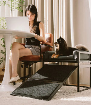Elevated Pet Sofa Bed with Stairs Ramp for Bedside Lounge or Dog Window Perch