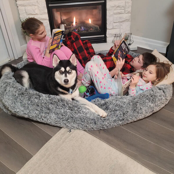 Luxury Super Large Sleep Deeper Oval Bed Human Dog Bed - Image 4