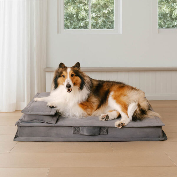 Anti-Anxiety with Sponge Support Deep Sleeping Dog Bed - Image 10