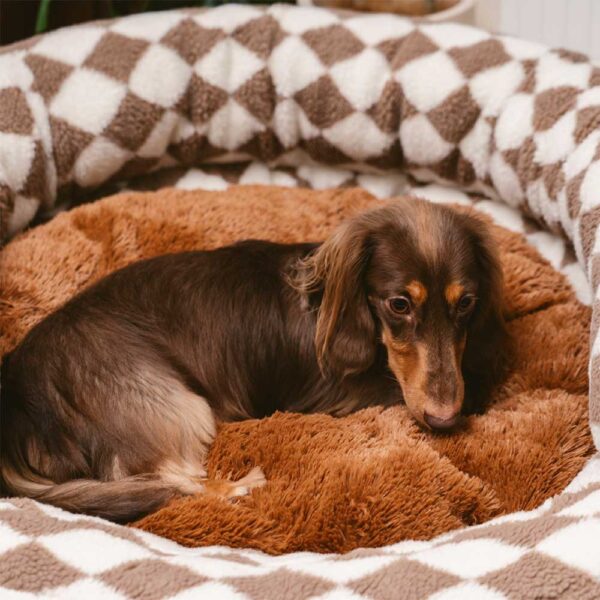 Classic Argyle Washable Bolster Donut Dog Bed - Cozy Haven - Image 7
