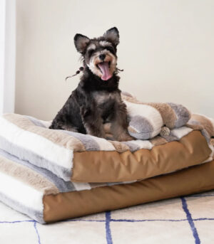 Deluxe Striped Plush Calming Bed Dog Bed with Pillow