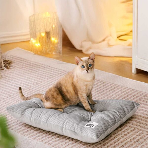Dual-Sided Cozy Plush Washable Calming Cat Mat - Image 2