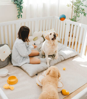 Dual-Sided Cozy Plush Washable Calming Dog Mat