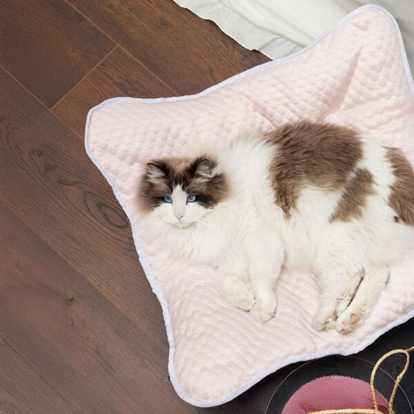 Cooling Breathable Portable Foldable Elevated Dog Bed - Image 6