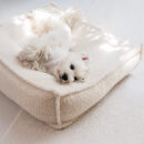 Curved Support Teddy Fabric Waterproof Dog & Cat Bed