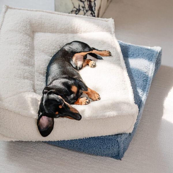 Curved Support Teddy Fabric Waterproof Dog & Cat Bed - Image 6