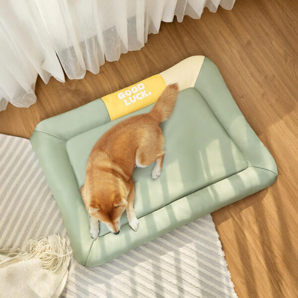 Colorblock Waterproof Scratch-Resistant All-Season Dog Mat - Image 5