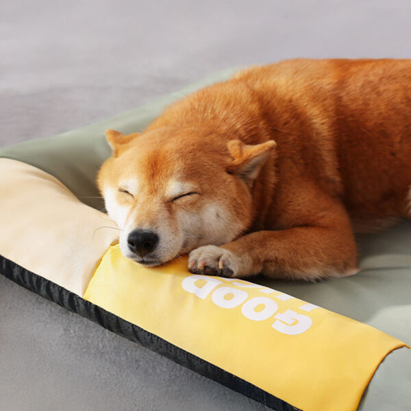 Colorblock Waterproof Scratch-Resistant All-Season Dog Mat - Image 2