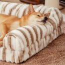 Fluffy Striped Orthopedic Bolster Dog Bed - Luxe Comfort