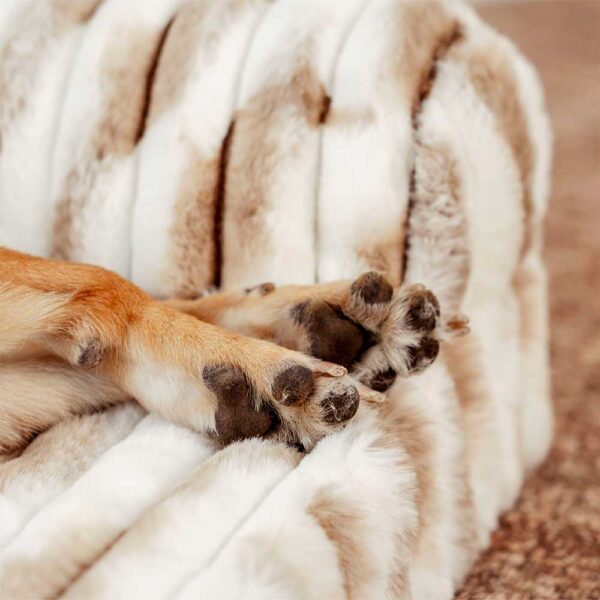 Fluffy Striped Orthopedic Bolster Dog Bed - Luxe Comfort - Image 7