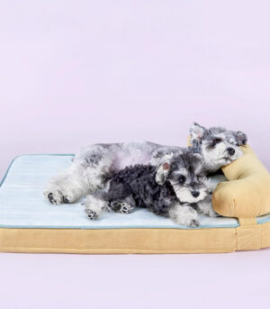 All Season Breathable Orthopedic Dog Bed with Waterproof Liner and Pillow