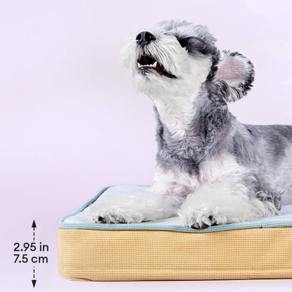 All Season Breathable Orthopedic Dog Bed with Waterproof Liner and Pillow - Image 6