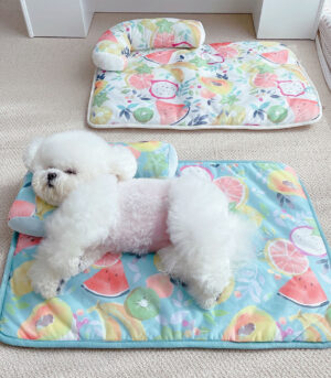 Fruit Print Cooling Ice Silk Dog & Cat Mat with Pillow
