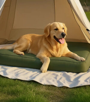 Portable Multi-function Water-resistant Scratch Resistant Inflatable Dog Bed