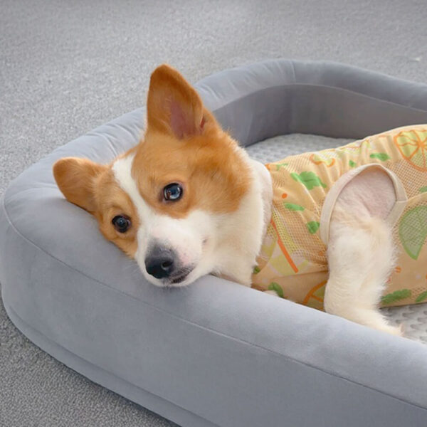 Soft Cooling Reversible Washable All-Season Oval Dog Bed - Image 4