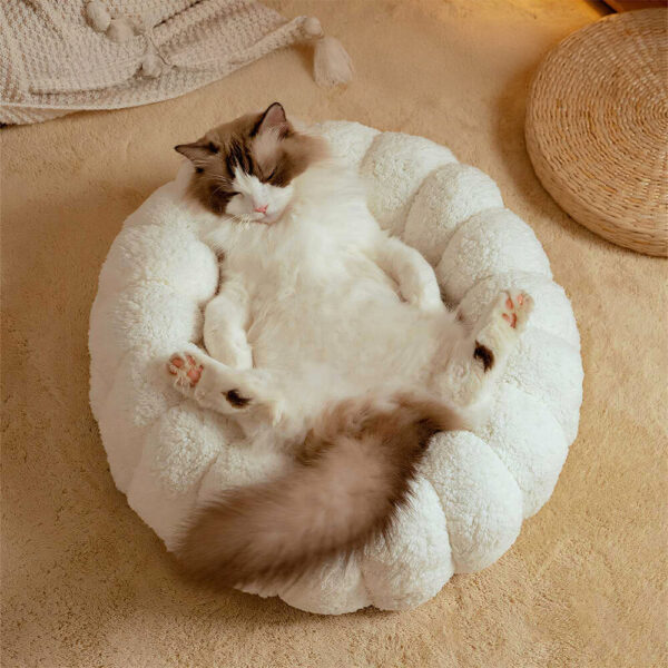 Warm Skin-Friendly Full Support Multi-Purpose Semi-Enclosed Cat Bed - Image 11