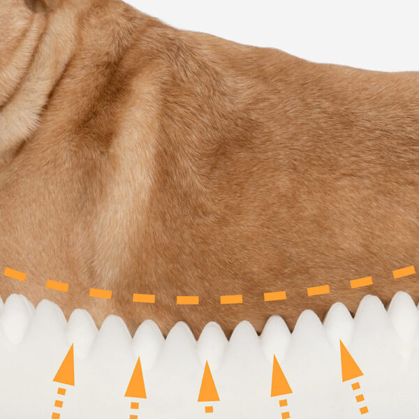 Full Support Comfortable Orthopedic Dog Bed - Image 4