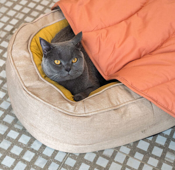 Donut Orthopedic Dog Bed - Image 20