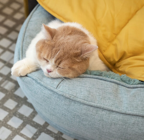 Leaf Shape Dog Blanket - Image 17