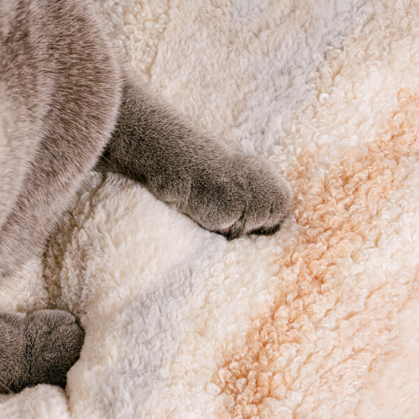 Nordic Fluffy Extra Large Cozy Dog & Cat Sofa Bed - Image 5