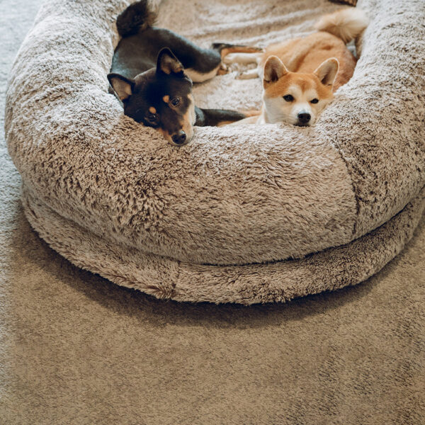 Luxury Super Large Sleep Deeper Oval Bed Human Dog Bed - Image 19