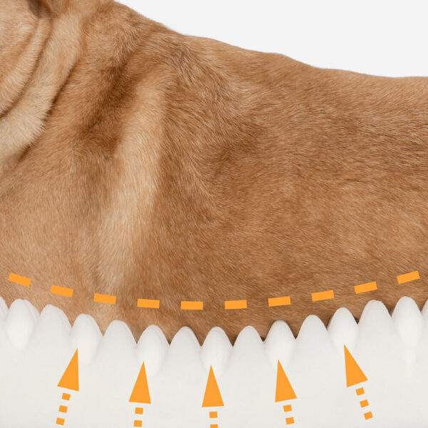 Donut Orthopedic Dog Bed - Image 7