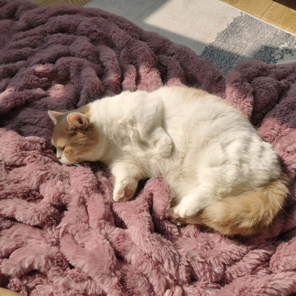 Super Soft Faux Fur & Velvet Luxury Pet Throw Blanket Human Blanket - Image 3