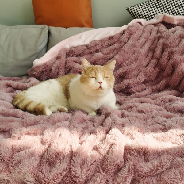 Super Soft Faux Fur & Velvet Luxury Pet Throw Blanket Human Blanket - Image 2