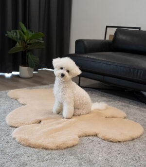 Teddy Bear Shaped Fluffy Large Pet Mat