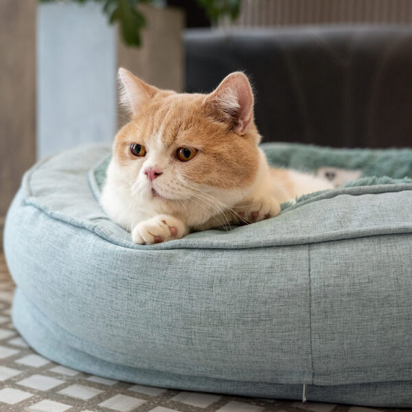 Donut Orthopedic Dog Bed - Image 18