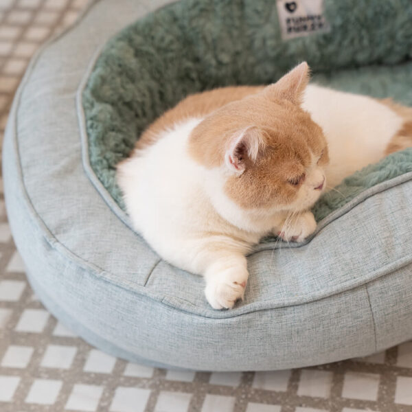 Donut Orthopedic Dog Bed - Image 4