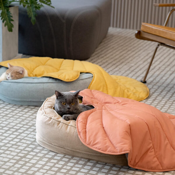 Donut Orthopedic Dog Bed - Image 19