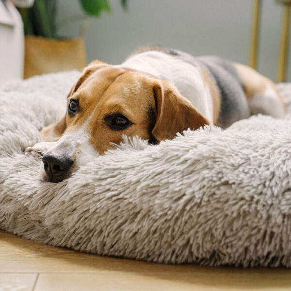 Fuzzy Round Fluffy Dog Bed - Image 6