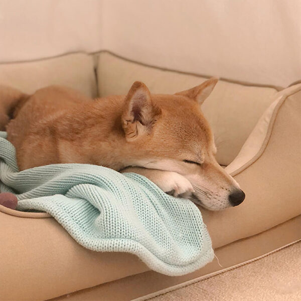 Dog Bed - Square Bread - Image 4