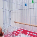 Wholesale Wrought Portable Chinese Large Aluminium Stainless Steel Iron Pet Bird Parrot Cage